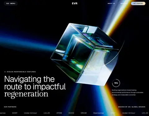 Evr Ventures project preview