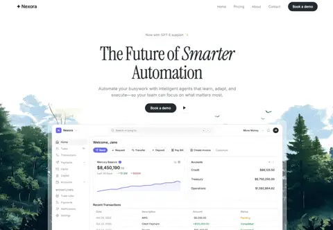 Nexora project preview